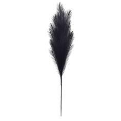 a single black feather on a white background