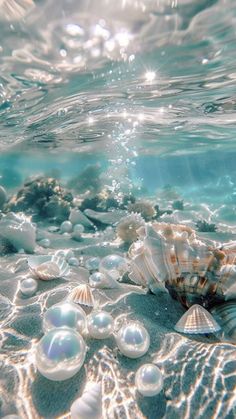 an underwater view of seashells and bubbles in the water