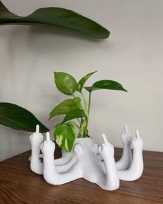 a plant is growing out of a white sculpture on a wooden table next to a green leafy plant