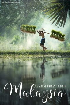 the cover of malaysia magazine with a man carrying plants on his shoulders and holding an umbrella over his head