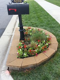 a mailbox in the middle of a flower bed with flowers growing out of it