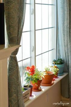 three potted plants sit on a window sill in front of the windowsill