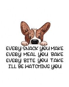 a drawing of a dog with the words, every snack you make every meal you bake every bite you take i'll'll be watching you