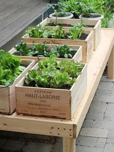 several wooden planters filled with plants on a bench next to a brick walkway and building