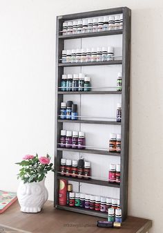 a shelf filled with lots of bottles on top of a wooden table next to a potted plant