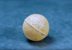 an orange on a blue surface with white speckles