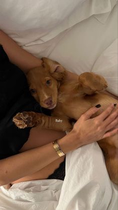 a woman laying in bed next to a brown dog on top of her stomach and arm