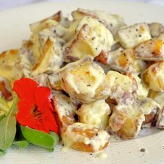 a white plate topped with food and a red flower