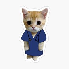 an orange and white cat wearing a blue scrub suit with a stethoscope on it's chest