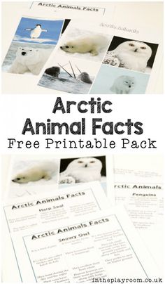 an arctic animal fact book with polar bears, penguins and other animals in the background