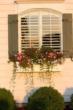 an open window with shutters and flowers in the planter on the side of a house