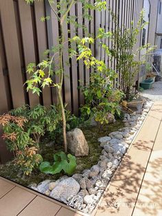 a small garden with rocks and plants in the center, along side a wooden fence