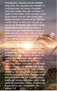 the back cover of a book with words in spanish and english