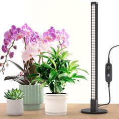 three potted plants sitting on top of a wooden table next to a black lamp