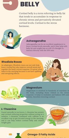 Cortisol belly is a term that refers to abdominal fat that isn't evenly distributed and may be related to chronic stress, causing elevations in the cortisol hormone. Cortisol belly and related weight gain may be more stubborn than other types and may not respond to diet and exercise as well. There are certain supplements for cortisol belly that we cover in our complete guide, as well as explaining the mechanisms that cause cortisol to rise and cause symptoms. #cortisolbelly #cortisol #highcortisol #symptomsofhighcortisol #highcortisolsymptoms #chronicstress #bellyfat Cortisol Hormone, Nervus Vagus