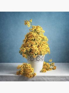 a potted plant with yellow flowers sitting on a white table cloth next to a blue wall