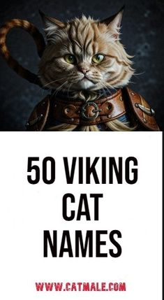 a cat wearing a leather armor with the words, 50 viking cat names on it