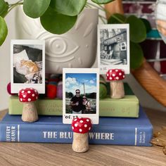 mushrooms are sitting on top of books and photos