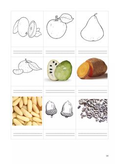 fruits and vegetables are shown in this worksheet