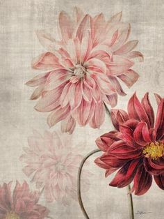 two pink flowers are in a vase on a beige background with white and yellow accents