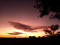 the sun is setting behind some trees