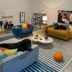 a living room filled with furniture and a dog laying on top of the couches