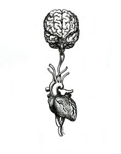 a drawing of a human heart hanging from a string with a brain attached to it