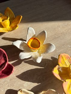 three different colored flowers sitting on top of a wooden table next to each other with one flower in the middle