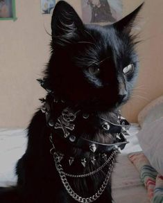 a black cat with spiked collar and spikes on it's neck sitting on a bed