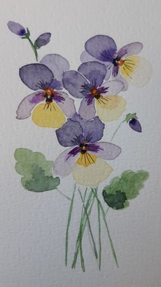 watercolor painting of purple and yellow pansies on white paper with green leafy stems