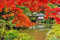 a pond surrounded by trees with red leaves in the foreground and a white building on the other side