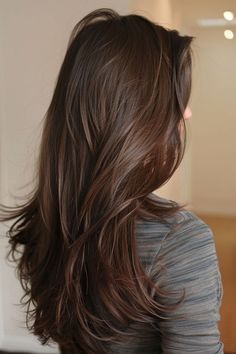 Chest Nut Brown Balayage, Brown Hair Chestnut Highlights, Brunette Hair Color Dark, Glazed Brown Hair, Chest Nut Brown Hair, Chocolate Brown Hair Medium Length, Brown Balayage For Black Hair, Chocolate Brown Hair Asian, Almond Brown Hair