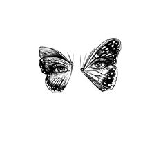 black and white drawing of two butterflies with eyes on each side, facing opposite directions