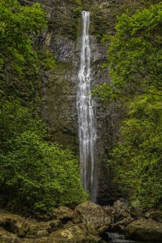 a large waterfall in the middle of some trees