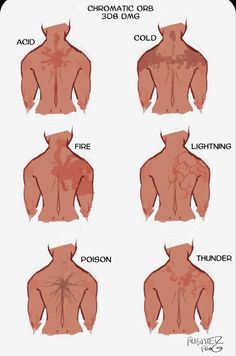 an image of the back of a man's body with different types of muscles