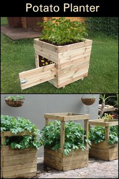 two pictures showing the different stages of growing plants in wooden planters, and how to use them