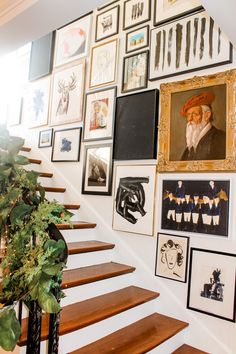 a staircase with many pictures on the wall next to plants and a potted plant