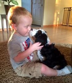 a little boy that is sitting on the floor with a dog