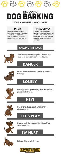 an info sheet describing the different types of dog barkings and how to use them