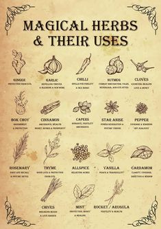 This magical herb poster will help you identify the magical uses of herbs and spices that you probably already have in your own witch's kitchen! Ideal for printing at A3 with no loss of quality, if you want this poster printed for you, please get in touch as I can supply them printed at a small additional cost. Please be aware that some other Etsy Sellers have been selling an inferior copy of my design (I didn't give it to them), and they're selling it for more than this, so it's best to get the Pentagram Herb Hanger, Incense For Banishing, Candles Meaning Magic, Magic Home Protection, Kitchen Witch Simmer Pot Recipes, Herbs And Their Uses, Magickal Herbs, Magia Das Ervas, Witch Garden