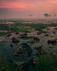 a boat sitting on top of a river filled with water lillies under a pink sky