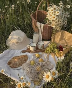 an image of a picnic setting in the grass with food and drinks on it's blanket