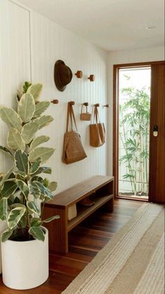 a plant in a white pot next to a wooden bench and coat rack on the wall