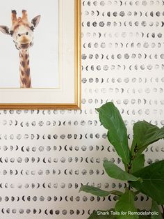 a giraffe's head is framed on the wall next to a plant