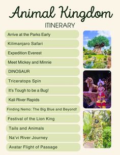 the animal kingdom itinerary includes animals, plants and other things to see in the park