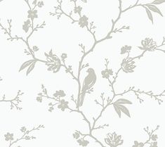 Transform your space with the sweet and enchanting Songbird Chinoiserie peel-and-stick wallpaper pattern by NextWall. This delicate silhouette beautifully depicts a tranquil scene of trailing florals and perched fauna, perfect for an instant DIY home transformation. From NextWall. Home Transformation, Print Design Art, Wallpaper Pattern, Song Bird, Paint Stain, Painting Projects, Stick Wallpaper, Peel And Stick Wallpaper, Pattern Wallpaper