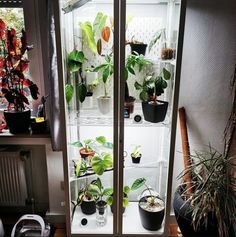 a refrigerator filled with lots of plants in it's side by side display case