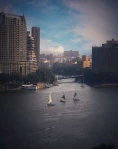 three sailboats are sailing in the water near tall buildings and skyscrapers on either side