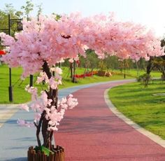 a tree with pink flowers on it in the middle of a park path that is lined with benches