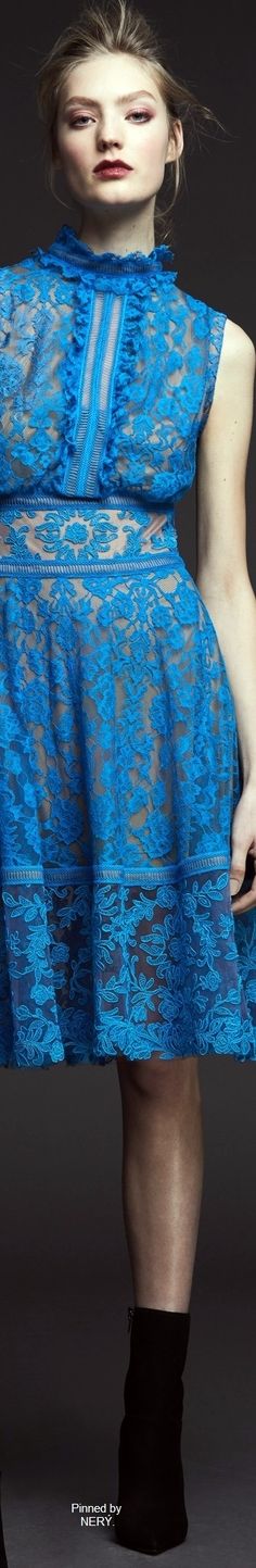 Tadashi Shoji Pre-Fall 2017 Lacy Dresses, Blue Crush, Japan Style, La Face, Lace Dresses, Amazing Outfits, Perfect World